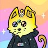 Cosmic Cats - Cats Don't Know Big Numbers