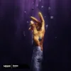 Zmeex - Shadow