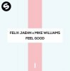 Felix Jaehn x Mike Williams - Feel Good