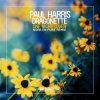 Paul Harris feat. Dragonette - One Night Lover (Nora en Pure Remix)