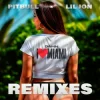 Pitbull & Lil Jon - Damn I Love Miami (Apollo XO Remix)