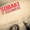 Собаки в космосе - Хвилинку