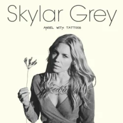 Cover Skylar Grey - Shame On You