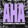 Tujamo & Relova - Aha