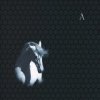 Cover Аквариум - Анютины Глазки и Божьи Коровки Аквариум - Анютины Глазки и Божьи Коровки