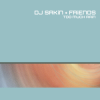 DJ Sakin & Friends - Too Much Rain (Radio Remaster)