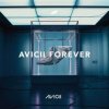 Avicii - Wake Me Up