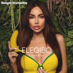 Cover Relight Orchestra - Elegibo (Dj Dark Remix)