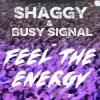 Cover Shaggy & Busy Signal - Feel The Energy Shaggy & Busy Signal - Feel The Energy
