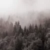 Y.K. Music - У Тумані