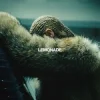 Beyoncé - All Night