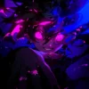 Dj Samir & Fyex - Montagem Rave Eterno
