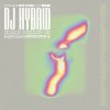 DJ Hybrid - Euphoria