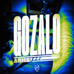 Cover Ariis - Gozalo (Super Slowed)