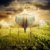 DJ Bim And Serenity Flux - Overtone