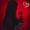 Amir Nazari - Love Alone Is The True