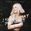 Mentol & Ida - When Love Takes Over
