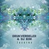 Astrix - Type 1 (Drukverdeler & DJ Bim Remix)
