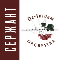 Cover De-Shturm оrchestra - Ми ДШВ