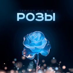 Cover Тайпан feat. IL'GIZ - Розы