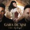 Petra & DJ Project - Gara de mai