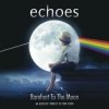 Echoes - Shine on you crazy diamond
