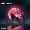 Miyuki - Why Can´t I