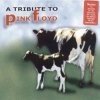Steve Lukather, Marco Mendoza, Vinnie Colaiuta - Shine On You Crazy Daimond