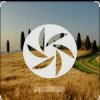 FEWZ - Golden Fields