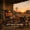 Leo Brawdy - Not Doing Nothin