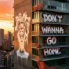 Meduza & Henry Camamile - Don't Wanna Go Home