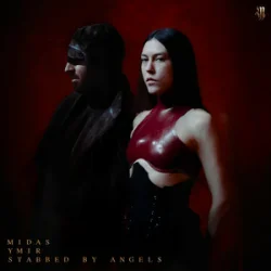 Cover YMIR & Stabbed By Angels - Midas