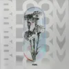 Samath & Data Model - Bottom Feeder
