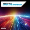 TEKNO & DJ T.H. & Shannon Hurley - Own The Sky (Extended Mix)
