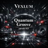 Vexlum - Quantum Groove 023