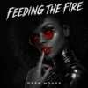 ANONFX - FEEDING THE FIRE