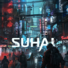 SuhAI - Accelerate