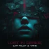 Sam Feldt & TAME - Lost In Desire