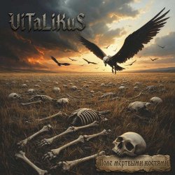 Cover ViTaLiKuS - Поле мёртвыми костями