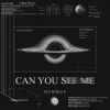 HUMMUS - Can You See Me