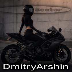 DmitryArshin - SECTOR