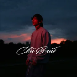 Cover elarm - Свій вайб