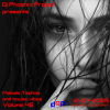Dj Phoenix Project - [MT&HV46]Melodic Techno&House Vibes vol.46