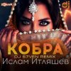 Cover Ислам Итляшев - Кобра (DJ S7ven Radio Edit) Ислам Итляшев - Кобра (DJ S7ven Radio Edit)