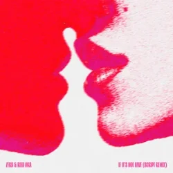 Cover Zerb & Rita Ora - If It’s Not Love (ZERB VIP Mix)