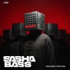 DJ SASHA BASS - Top 15 Melodic tracks Tehno July 2026.