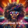 Dex Wilson - Can't Get Enough Of Your Love (Extended Mix)
