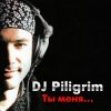 DJ Piligrim - Ты меня прости (Ты меня…)