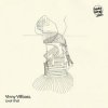 Cover Vinny Villbass - Brücke Vinny Villbass - Brücke