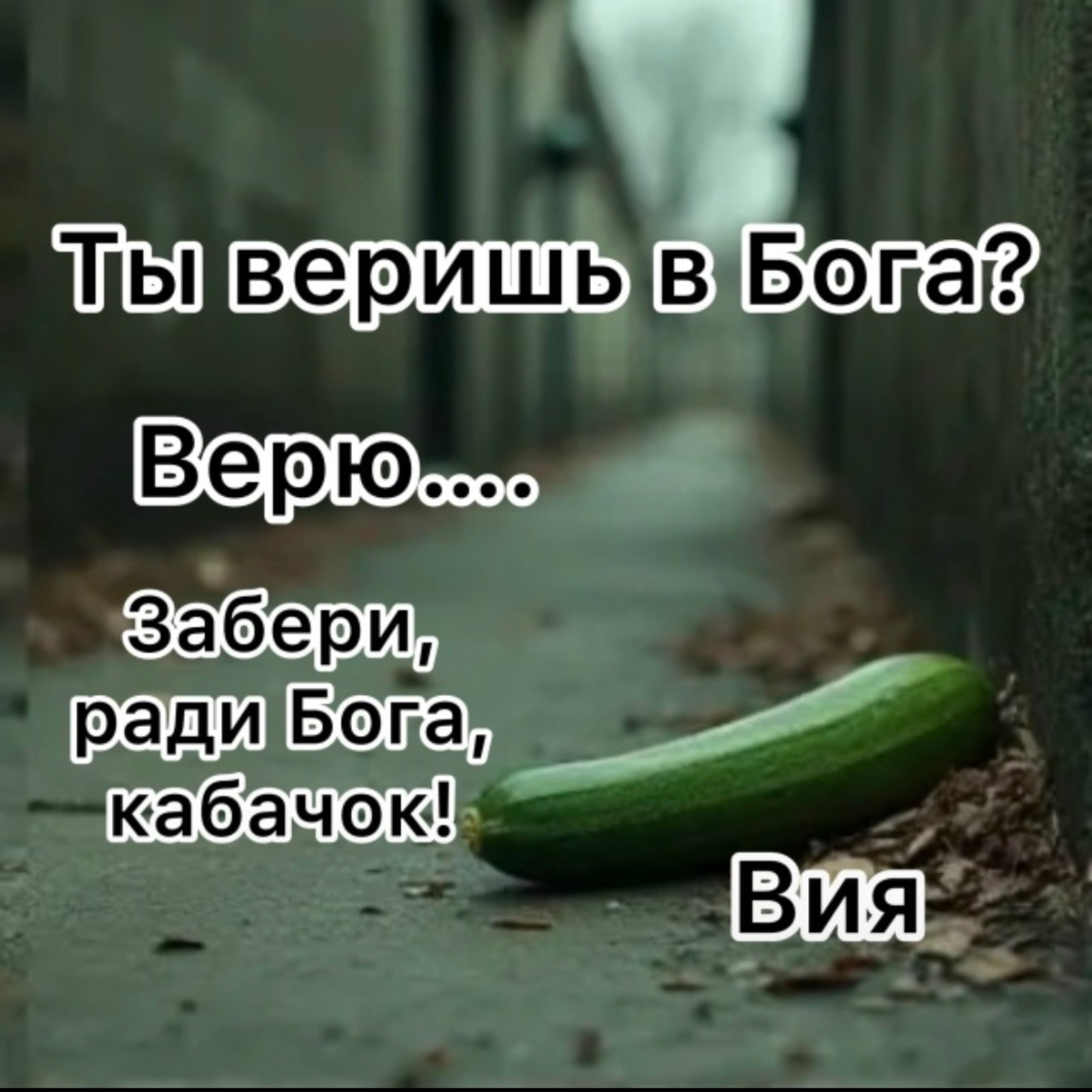 Вия (Viya) - Кабачок